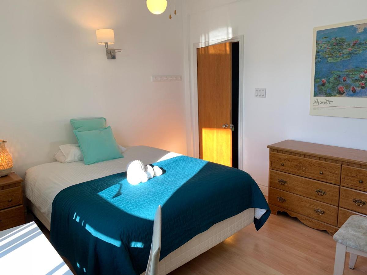 Chambres El Mediterraneo Rooms 蒙特利尔 外观 照片
